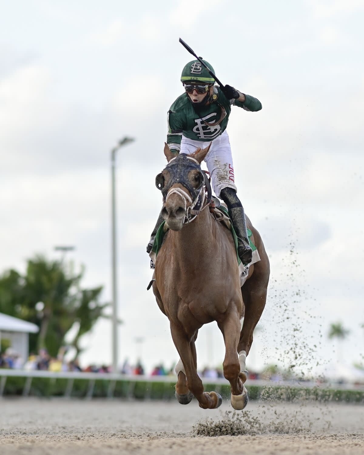 Irad Ortiz Jr. reacts as he rides Known Agenda.