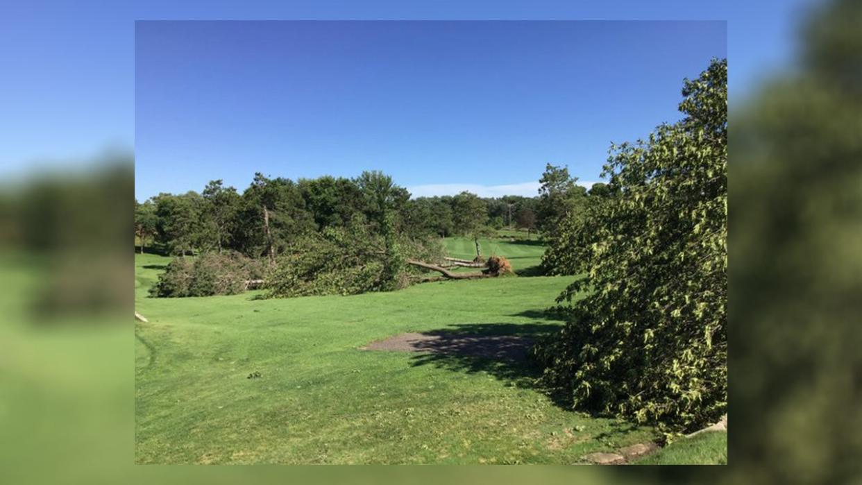 <div>Tree damage at a golf course in Dakota County (Photo courtesy of the National Weather Service).</div>