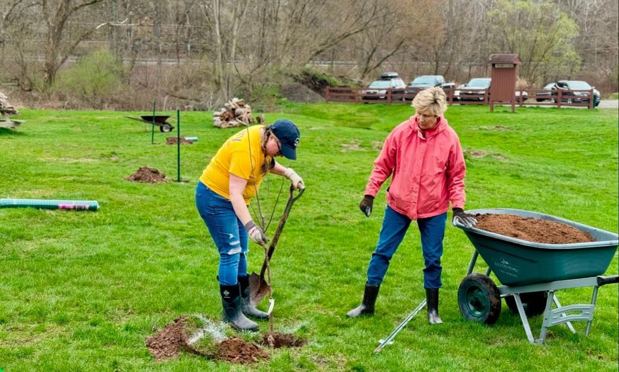 From left, Andrea Chapman and Bonny Cousins, volunteering from Honesdale Rotary Club, work at planting one of a dozen apple trees at Apple Grove Park in Honesdale on April 14, 2024.