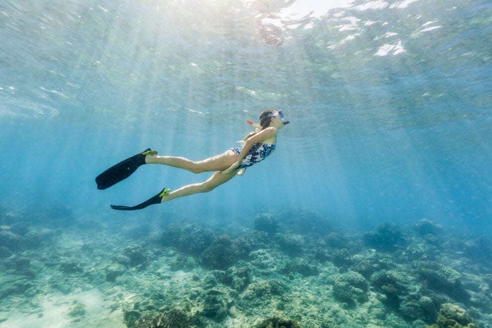 Travelers can dive and snorkel at the Great Barrier Reef