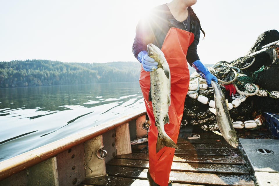 Female crew member of fishing boat carrying salmon to hold of boat