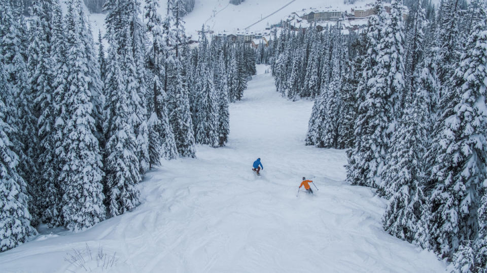 Finding fresh leftovers on Mt. Morrisey<p>Reuben Krabbe</p>