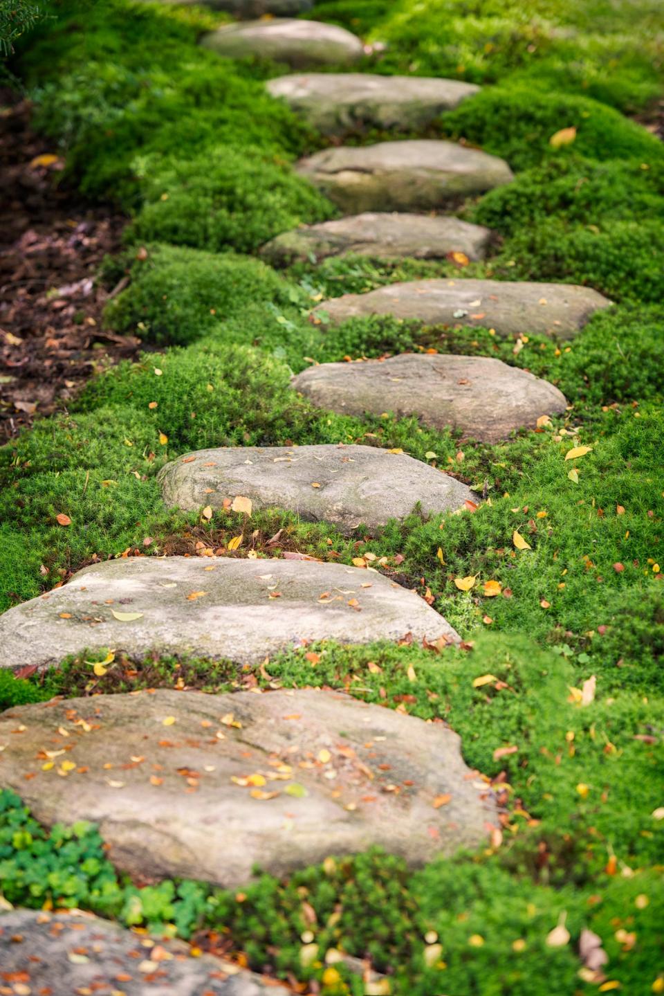 If you wish to create a pathway through a garden or landscaped area, it is best to use stepping stones or something similar to keep the dirt around the area from compacting.