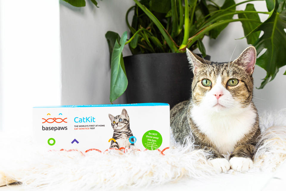 We Have the Purrfect Gifts Fur Your Pets This Cyber Week_15