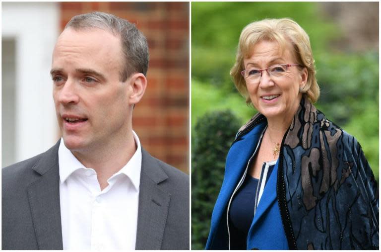 Dominic Raab and Andrea Leadsom become latest Tories to announce leadership bids... as both hint at no-deal Brexit