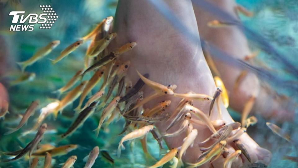 魚療風靡全球。（示意圖／shutterstock達志影像）