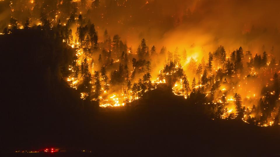 aerial shot of a wildfire raging
