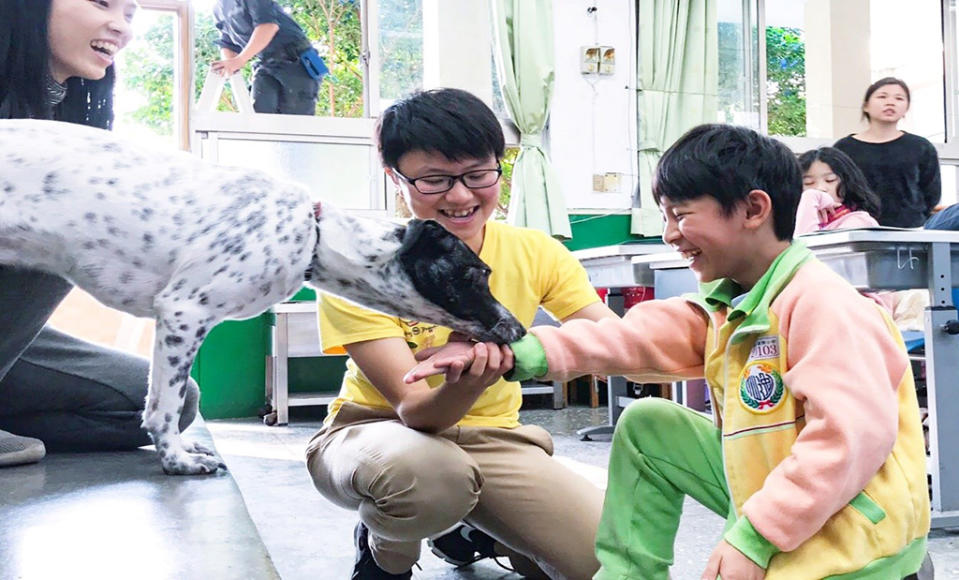 浪犬博士以遊戲化的方式，輕鬆學習正確與狗兒相處的正確知識。