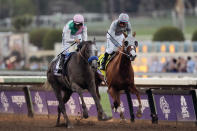 FILE - In this Nov. 5, 2016, file photo, Arrogate, left, with Mike Smith aboard, charges to the finish line to win the Breeders' Cup Classic horse race against California Chrome ridden by Victor Espinoza at Santa Anita Park, in Arcadia, Calif. North America's all-time money earner, has died. He was seven. Juddmonte Farms in Lexington, Ky., said Arrogate was euthanized on Tuesday, June 2, 2020, after becoming ill. (AP Photo/Jae C. Hong, File)