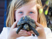 Der Zoo ist ein richtiges Gemeinschaftsprojekt, hier zeigt Sarah eine Schildkröte. (Bild-Copyright: Laura Dale/Caters New Agency)