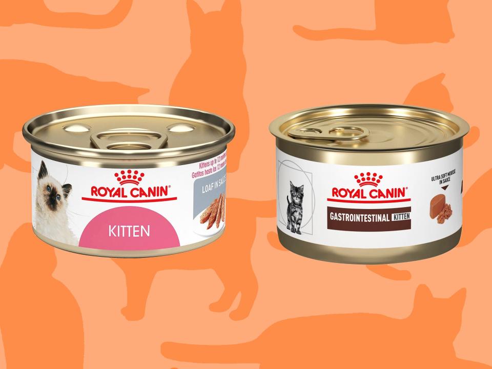 Two cans of Royal Canin cat food on an orange background patterned with cat silhouettes.