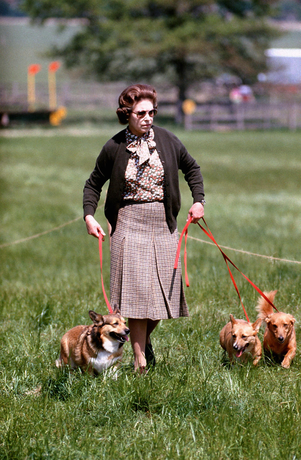 PA NEWS PHOTO, CORGI DOGS: The Queen with some of her Corgis walking the Cross Country course during the second day of the Windsor Horse Trials.