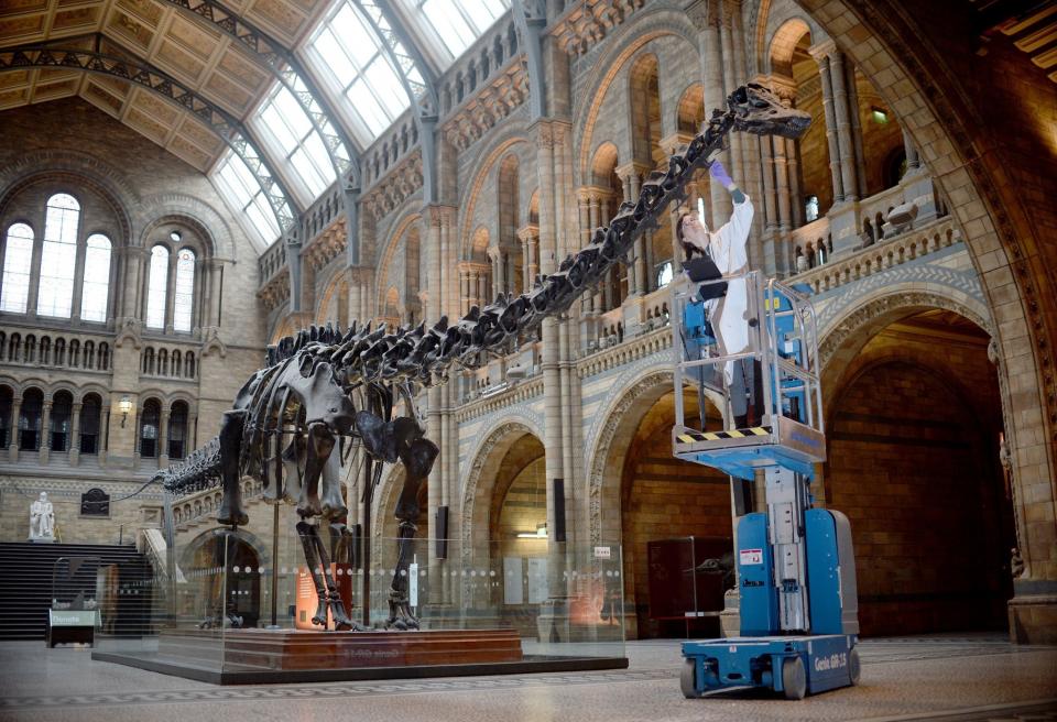 Dippy is dismantled