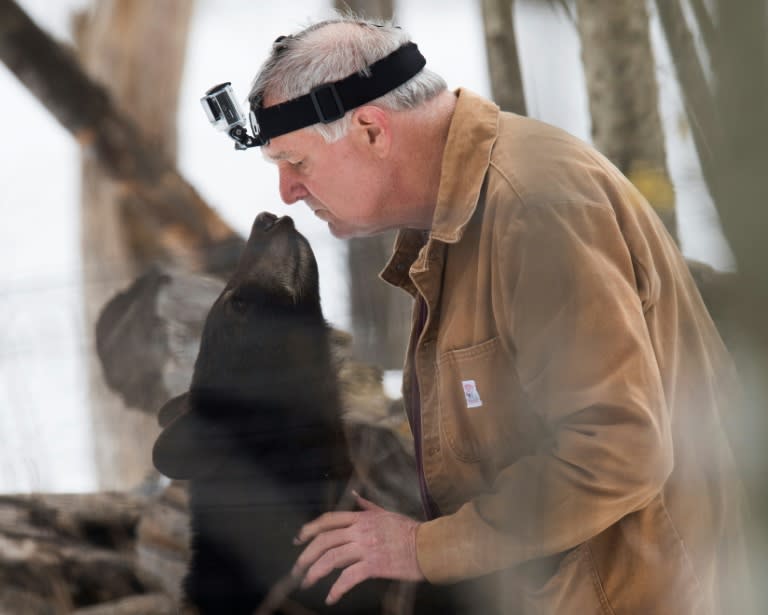 Ben Kilham, a wildlife biologist, takes in orphaned bear cubs until they are old enough to fend for themselves