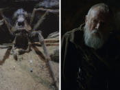 Mal ehrlich, wer hätte Julian Glover erkannt? In "Harry Potter" spricht er die Stimme der Spinne Aragog und in "GoT" ist er als Grand Maester Pycelle zu sehen. (Bild-Copyright: Warner Bros. Pictures/INTERTOPICSLMKMEDIA/Ltd/ddp Images)