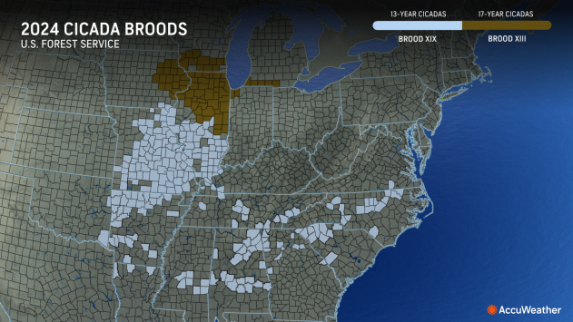 Cicada 2024 Emergence Map (Data from U.S. Forest Service)