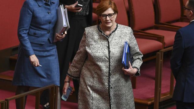 Former Foreign Minister Marise Payne to leave parliament after 26