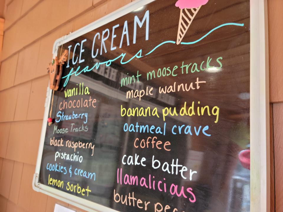 There's a lot to choose from if you're in the mood for some ice cream at The Main Moose. Don't forget the toppings!