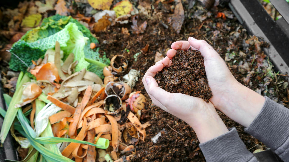 Hands holding compost in a compost heap