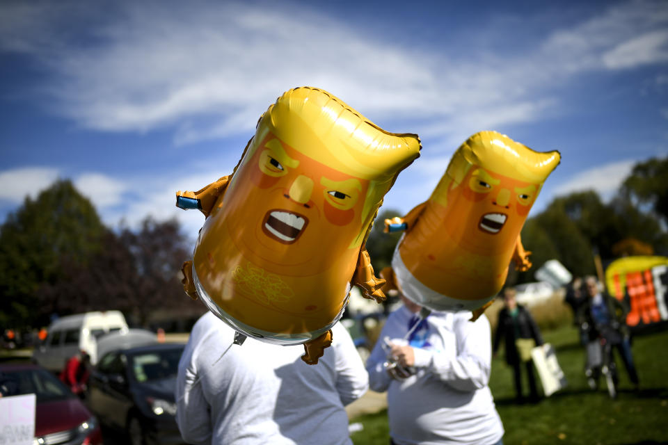 Demonstrator's hold "Baby Trump" balloons as Anti-Trump protestors began to gather at Soldier's Field Veterans Memorial in Rochester, Minn., Thursday, Oct. 4, 2018. (Aaron Lavinsky/Star Tribune via AP)