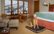 <p>If you’re thinking about a ski vacation for the whole family (four-legged members included), look towards the Rockies. Everyone can spread out in <a rel="nofollow noopener" href="http://pineslodge.rockresorts.com" target="_blank" data-ylk="slk:The Pines Lodge;elm:context_link;itc:0;sec:content-canvas" class="link ">The Pines Lodge</a>’s luxe three-bedroom condos with Jacuzzi tubs and fireplaces. The big kitchens make prepping a quick breakfast effortless. And the kids will be seriously impressed when you pull up: The place looks like Hogwarts. Snowshoeing paths are on property (they’re dog-friendly).</p> <p><strong>Pooch Perks: </strong>Fido can sport a GoPro harness to capture the action from his POV. If you opt for the “Pampered Pup” package, canine spa treatments are included, including a massage, bath, and blow-out. Once he’s looking his best, trot down to the doggie guestbook, where he can leave his paw print and take a Polaroid to capture his new look. Then head out for a night on the town for Yappy Hour! When he finally crashes at the end of the day, he’ll appreciate the rawhide bone left for him at turndown. </p>