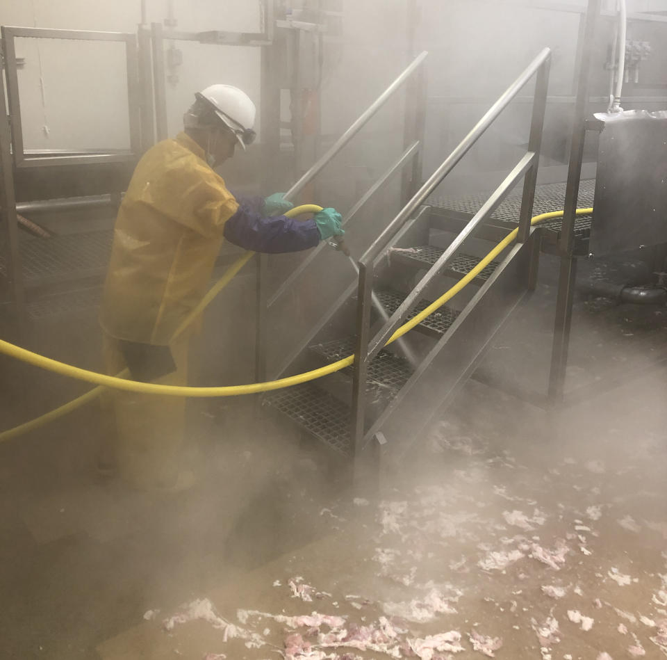 A worker at JBS Foods Plant in Worthington, Minn. (Labor Department)