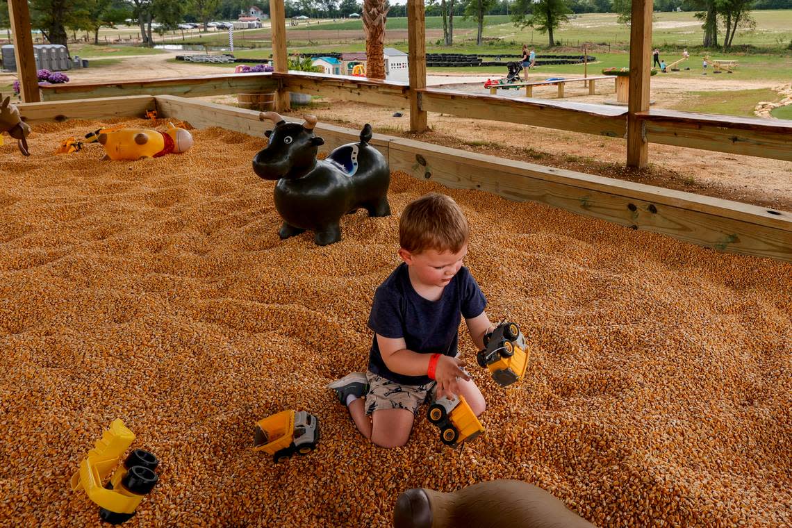 William Weidner, 3, plays with toy dump trucks in a bin of corn at the Family Fun Park at Cottle Strawberry Farm on Wednesday, May 1, 2024.