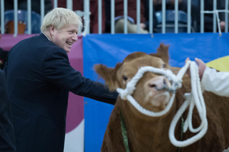  Prime Minister Boris Johnson, visits the Royal Welsh Showground, in Llanelwedd, Builth Wells
whilst on the General Election campaign trail. PA Photo. Picture date: Monday November 25, 2019. See PA story POLITICS Election. Photo credit should read: Stefan Rousseau/PA Wire 