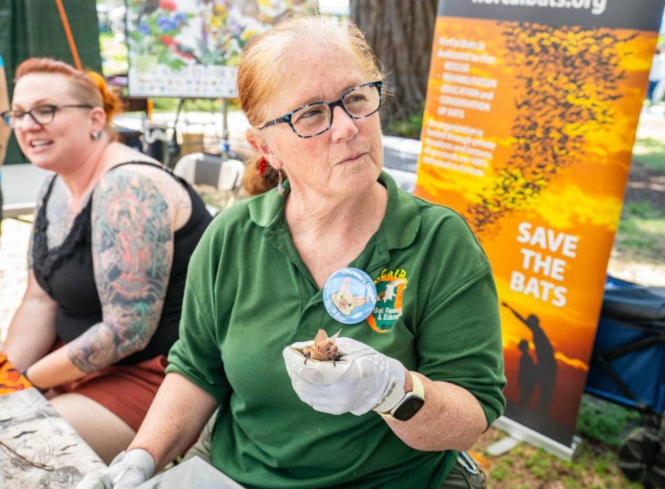 Corky Quirk, director of Northern California Bats, shows visitors a pallid bat at the Sacramento Earth Day celebration at Southside Park on Sunday.