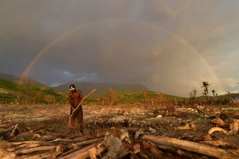 A man cuts wood from trees felled by Hurricane Matthew to make charcoal in the village of Damassin in southwestern Haiti