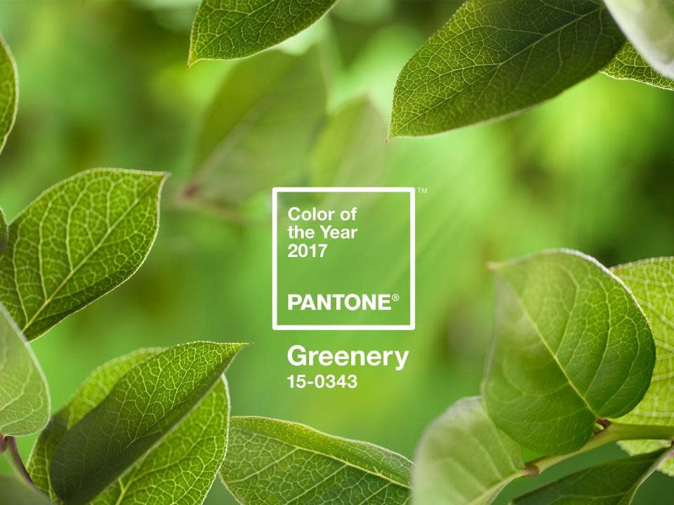 Pantone have chosen greenery as the 2017 colour of the year