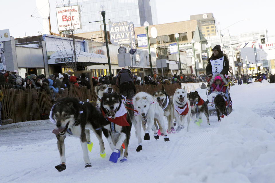 Musher Connor McMahon of Carcross, Yukon Territory, Canada, wearing big No. 3, takes an auction winner in his sled 11 miles over the streets of Anchorage, Alaska, during the Saturday, March 2, 2024, ceremonial start of the Iditarod Trail Sled Dog Race. The 1,000-mile race will take mushers and their dog teams a thousand miles over Alaska's unforgiving terrain, with the winner expected at the finish line in Nome, Alaska, in about 10 days. (AP Photo/Mark Thiessen)