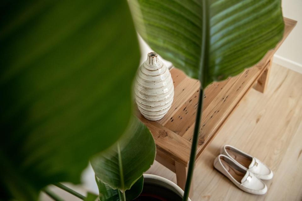 Looking down at a plant to the entryway of the ADU. A white vase and pair of white loafers peek through the leaves.