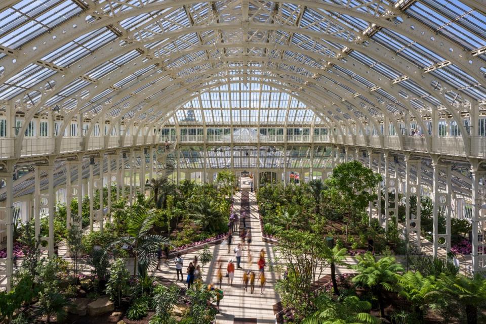 Discover rare and threatened plants in the impressive Temperate House at Kew (Gareth Gardner)
