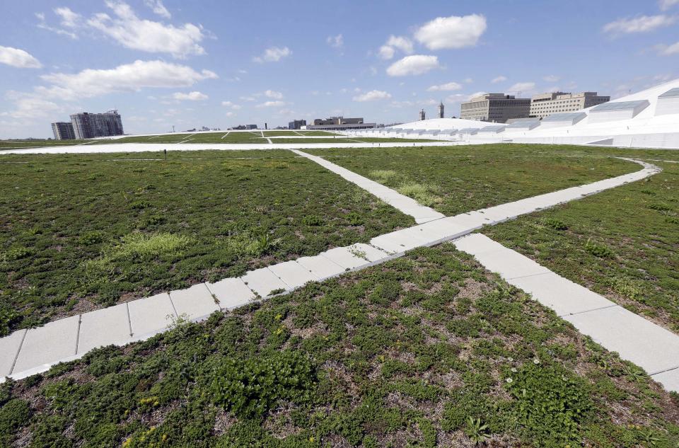 This April 12, 2013, photo shows a roof where sidewalks weave through fields of succulent plants on top of the Music City Center in Nashville, Tenn. Nashville's new convention center is transforming the look of downtown with its wavy roof dominating six city blocks, but tourism officials hope the eye-catching facility will also show business travelers a revitalized Music City. (A P Photo/Mark Humphrey)