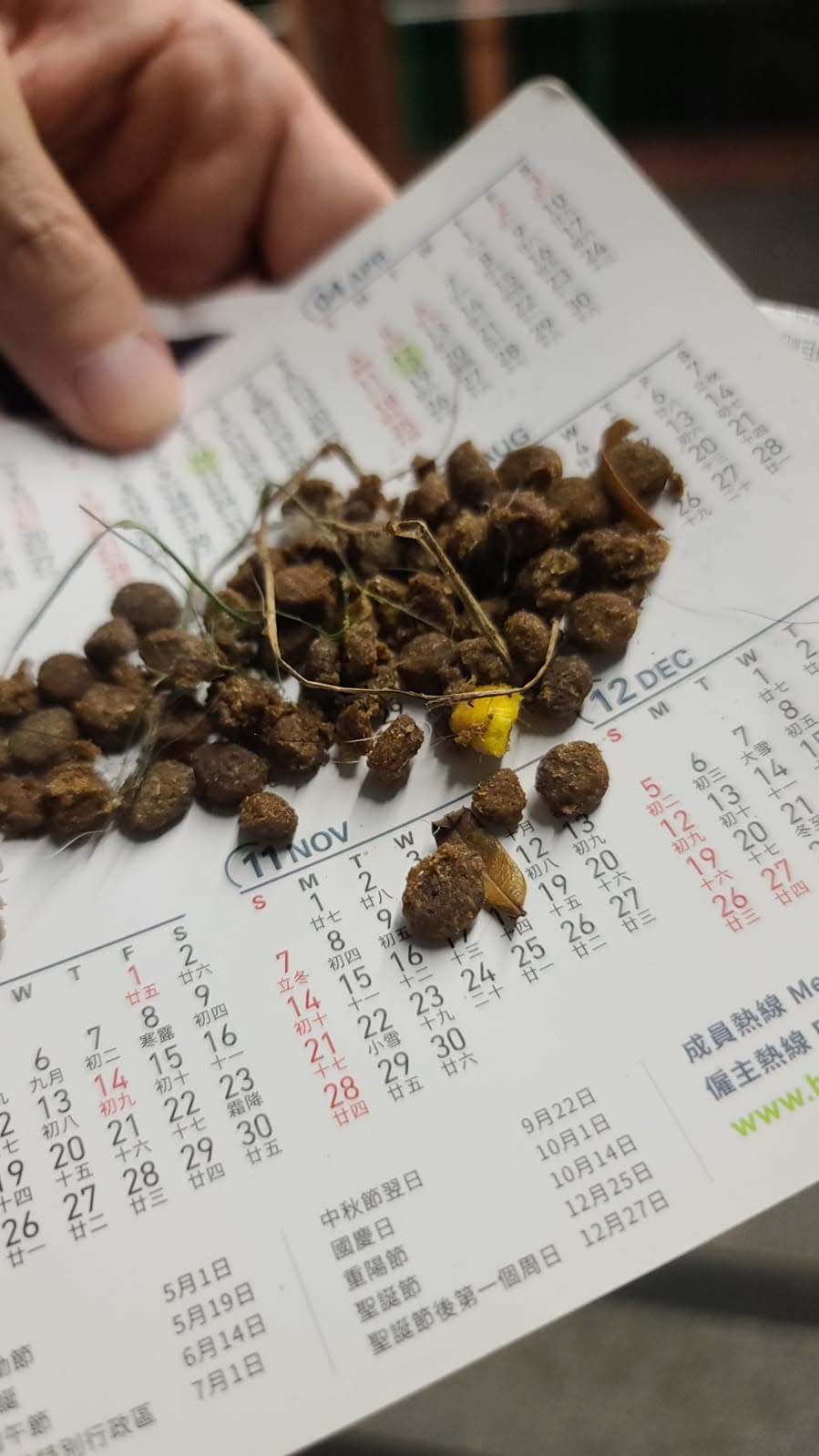 可疑狗糧中混有黃色物體。