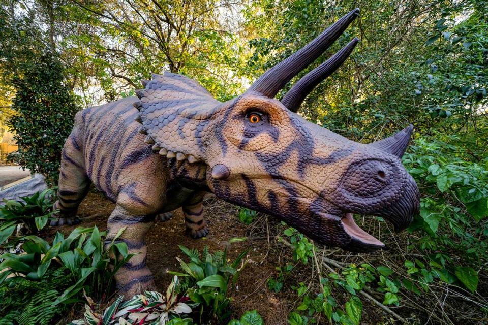 Dinosaurs Around the World opens May 20 at Botanica and will feature ten animatronic dinosaurs throughout the gardens.