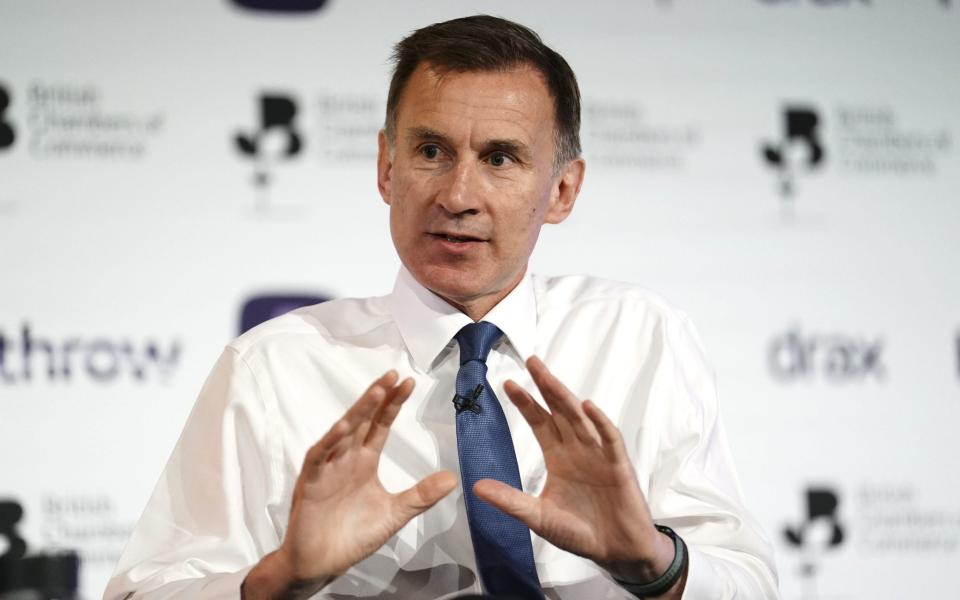 Chancellor Jeremy Hunt faces a rising interest bill on the UK's debt, says the OECD - Jordan Pettitt/PA Wire