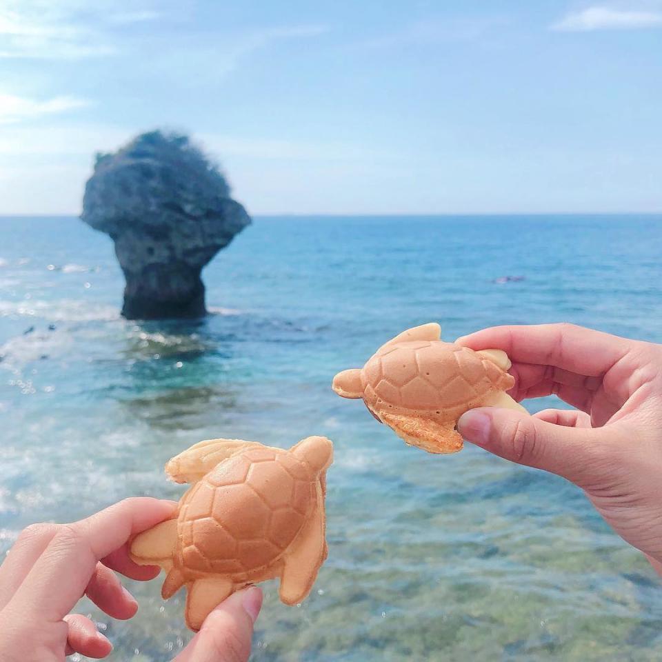 擬真的海龜燒，伴你度過炎炎夏日！