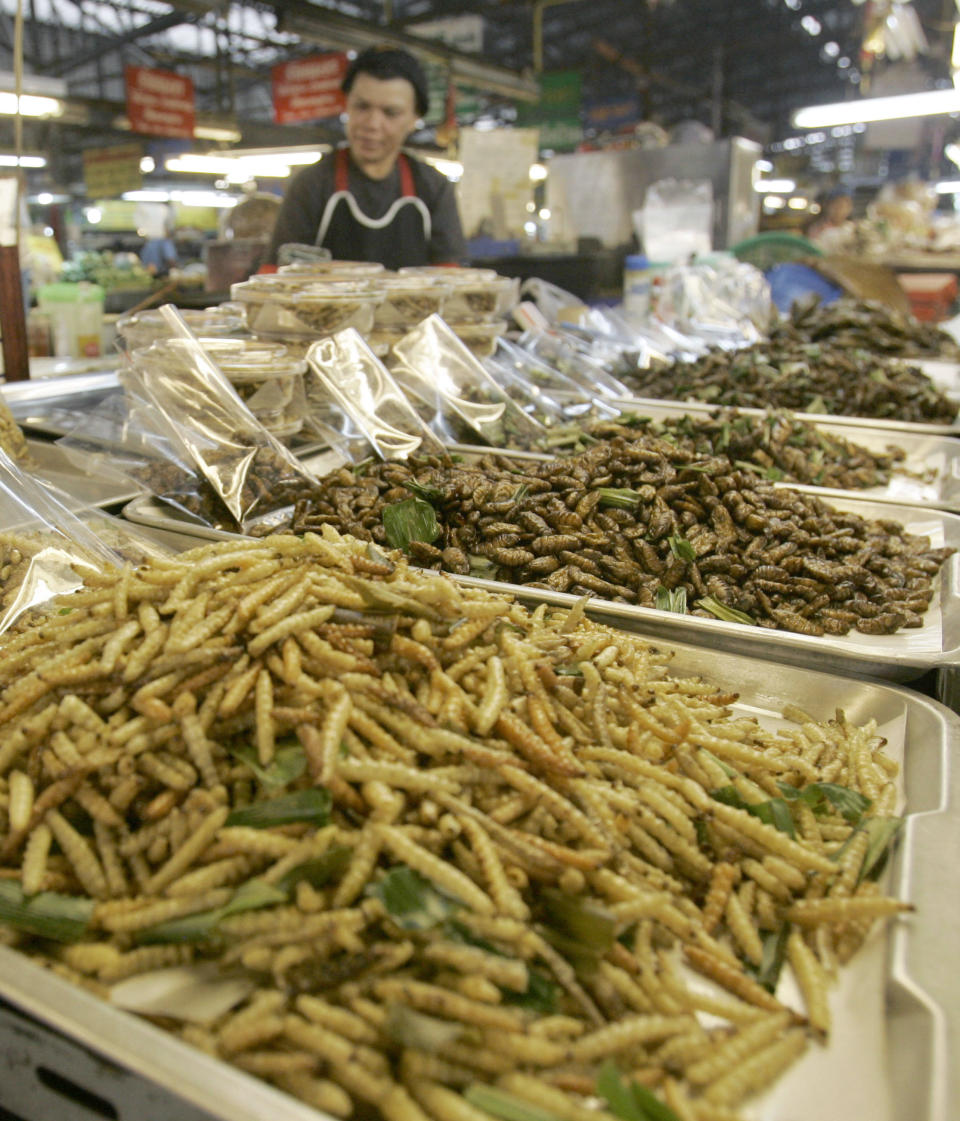 A Thai woman sells fried bugs at a  market in Chiang Mai  province, Thailand, on Tuesday, Feb. 19, 2008. With famine an every present threat in Africa and global warming predicted to reduce agriculture yields in poor countries, one group of scientists are offering up a novel solution to help alleviate world hunger: Eat more bugs. (AP Photo/Sakchai Lalit)
