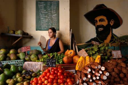 A woman sells vegetables and fruits next to the portrait of the late Cuban revolutionary Camilo Cienfuegos at the local market in Havana, Cuba July 21, 2018. REUTERS/Stringer