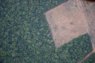 An aerial view shows a deforested plot of the Amazon near Porto Velho