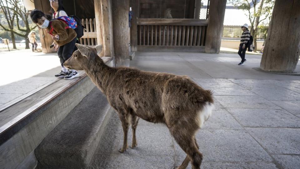 Nara