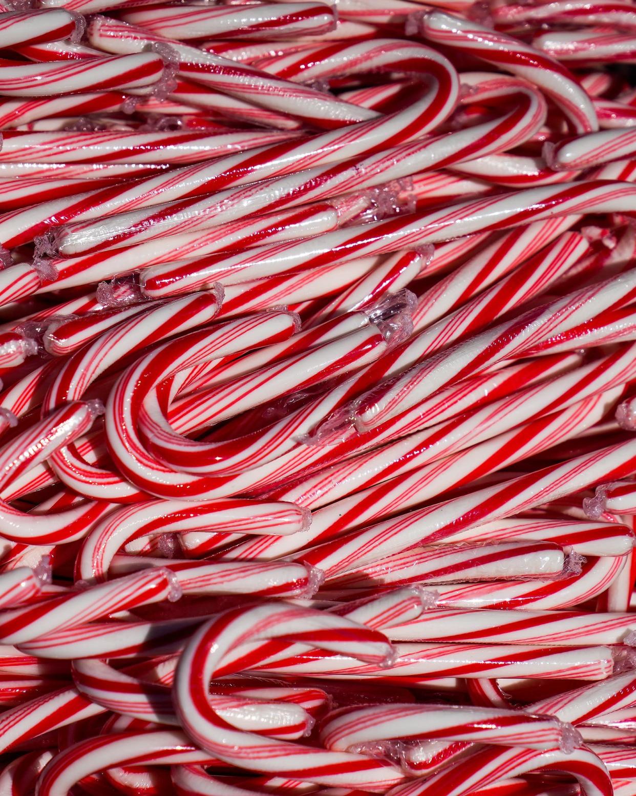 Candy canes brought to the top of Camelback Mountain by Camelback Santa and his helpers for hikers that reach the top of Camelback Mountain on Dec. 11, 2022, in Phoenix. He's been making the 2.4-mile hike during the weekends leading up to Christmas for nine years.