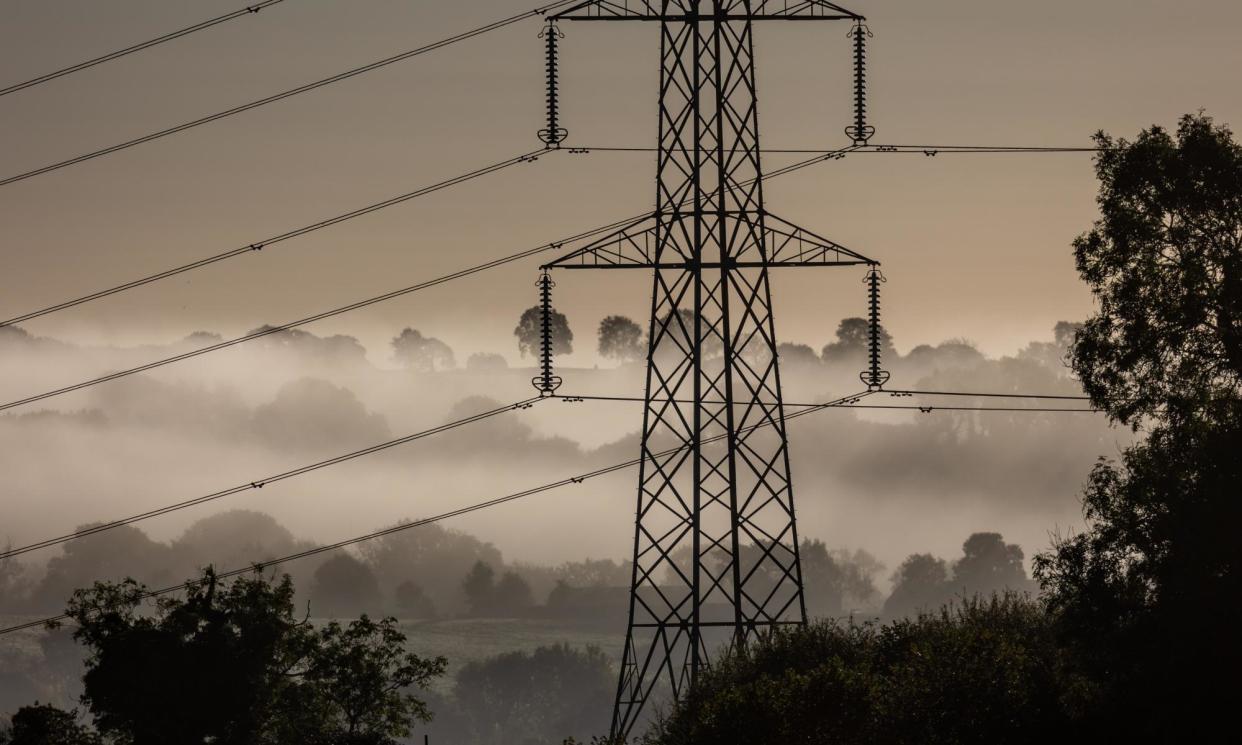 <span>Ed Miliband said the government would seek to minimise the impacts of new infrastructure on nature and the landscape.</span><span>Photograph: Matt Cardy/Getty Images</span>