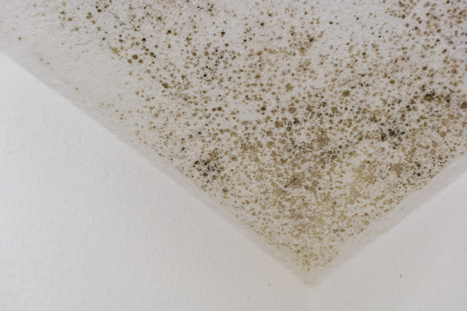 Mold growth spreading on a ceiling corner, indicating potential water damage and a need for remediation