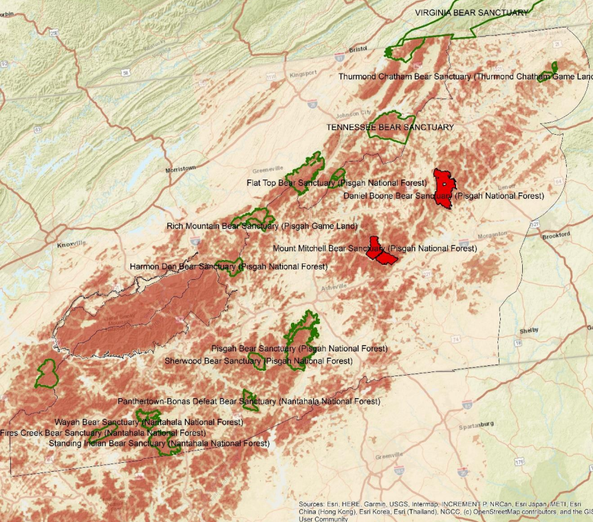 A map included on a fact sheet about bear sanctuaries from the North Carolina Wildlife Resources Commission shows black bear densities in Western North Carolina with sanctuaries where hunting is prohibited outlined in green and sanctuaries where hunting is allowed shown in red.