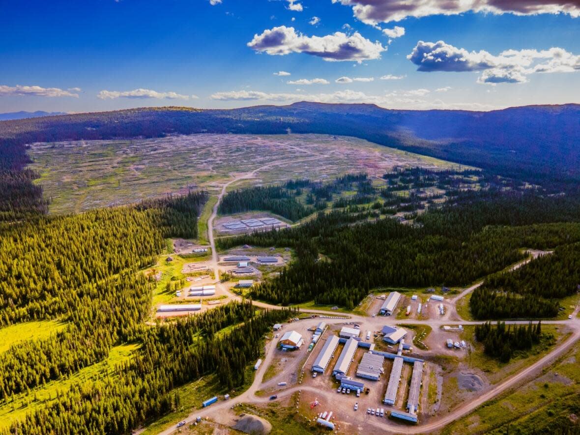 Vancouver-based mining company Artemis will operate the Blackwater gold and silver mine 112 kilometres southwest of Vanderhoof, B.C. (Artemis Gold Inc. - image credit)