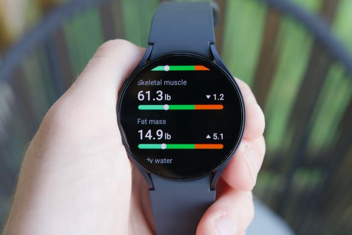 Body composition stats on the Samsung Galaxy Watch 6.