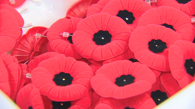 Today marks the start of this year’s poppy appeal